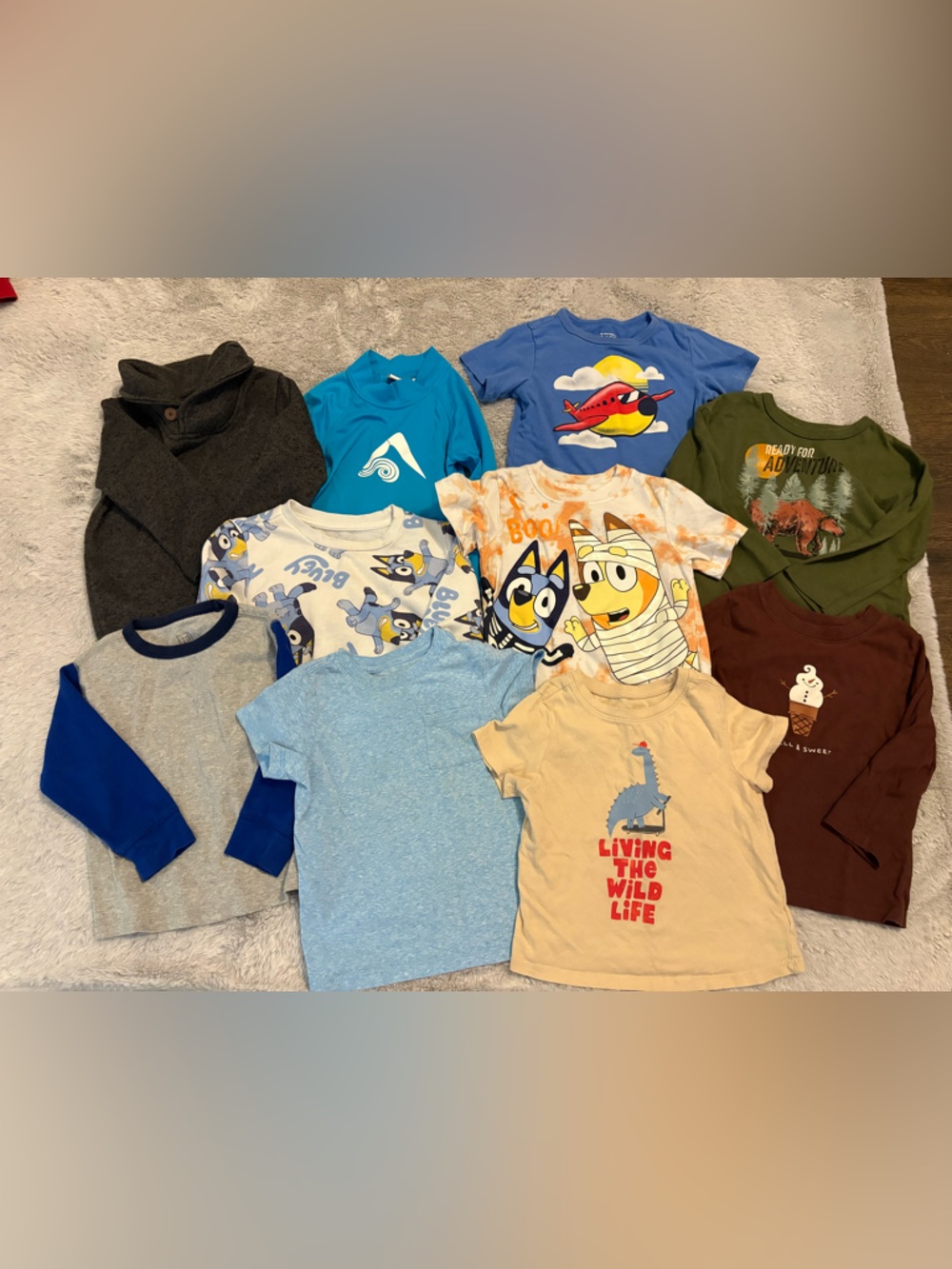 Cat & Jack, Bluey, Children's place Toddler Clothing Bundle